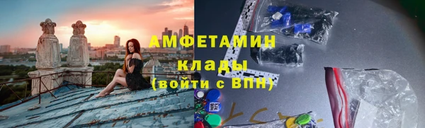 прущие грибы Алзамай