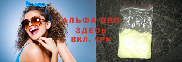 прущие грибы Осинники