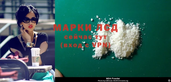 прущие грибы Алзамай