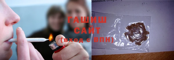 прущие грибы Алзамай