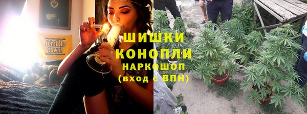 прущие грибы Алзамай