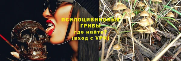героин Алексин
