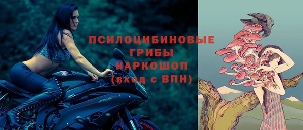 прущие грибы Алзамай