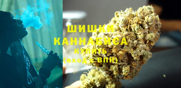 индика Алексеевка